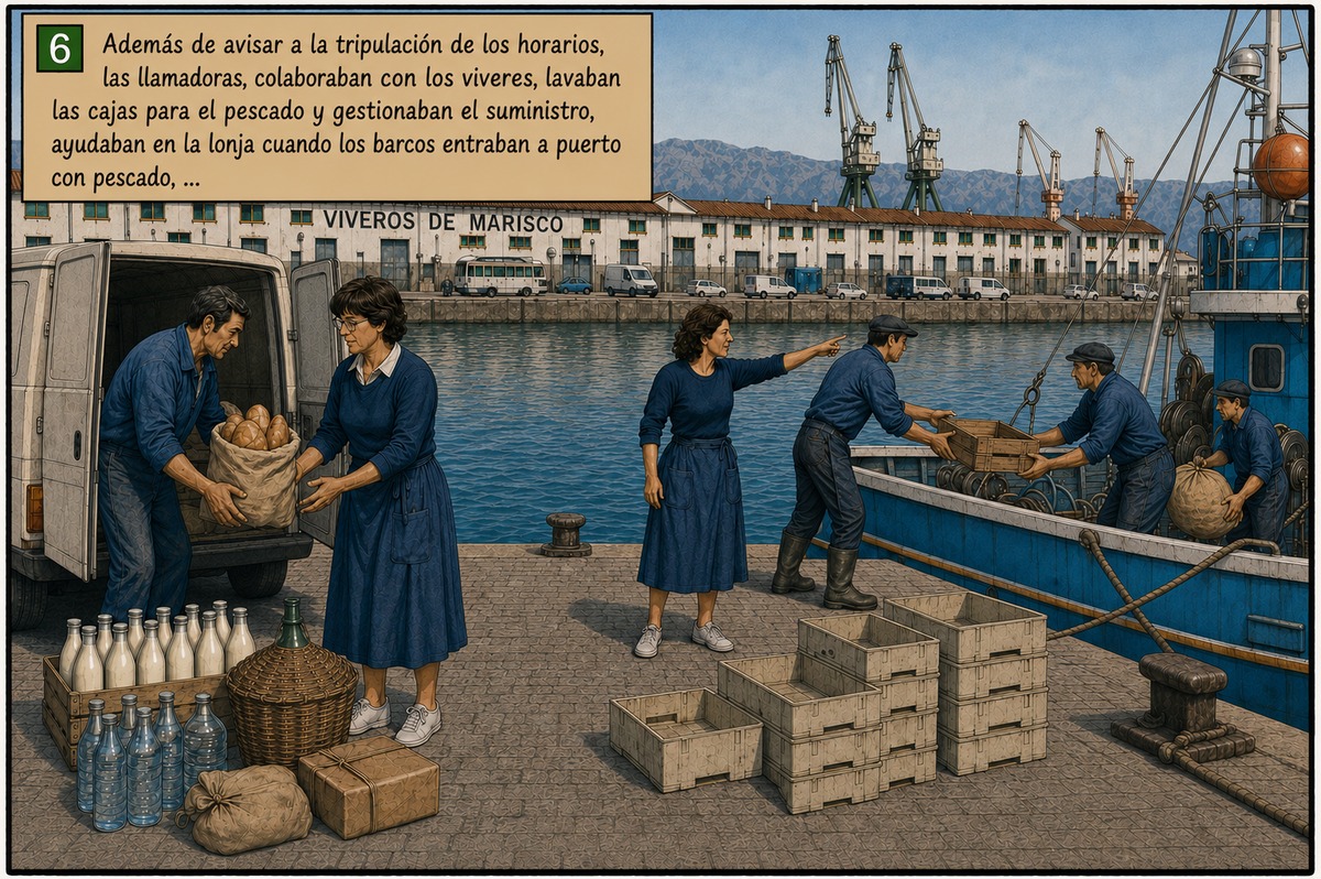 Viñeta 6: Ayuda en tierra